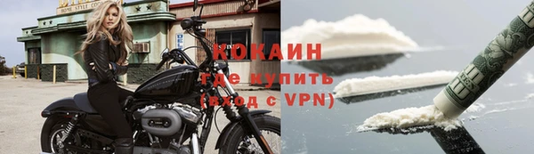 прущие грибы Нефтекумск