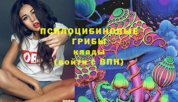 прущие грибы Нефтекумск