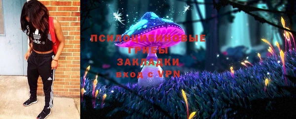 твердый Нефтегорск