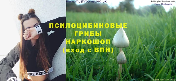 метадон Новозыбков