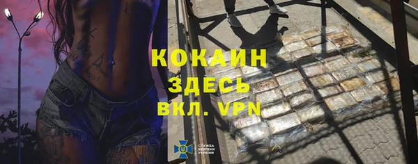 прущие грибы Нефтекумск