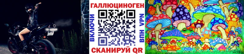 Псилоцибиновые грибы Cubensis  Полярные Зори 
