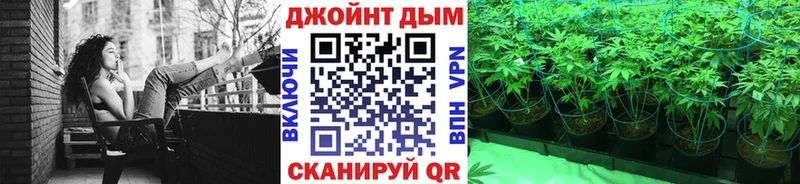 дарнет шоп  Полярные Зори  Марихуана сатива 