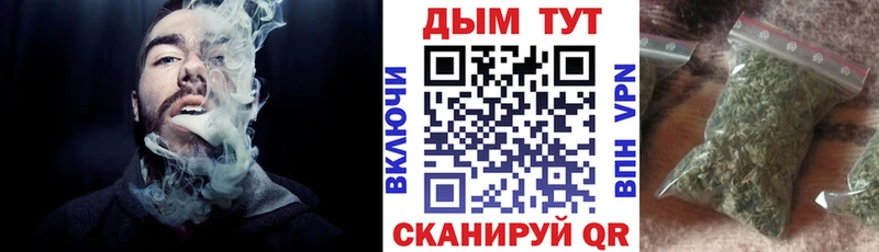 Конопля семена Полярные Зори